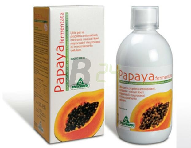 Papaya koncentrátum (500 ml) ML055669-35-4