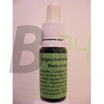 Bach virágeszencia vörös vadgesztenye (10 ml) ML058859-110-1