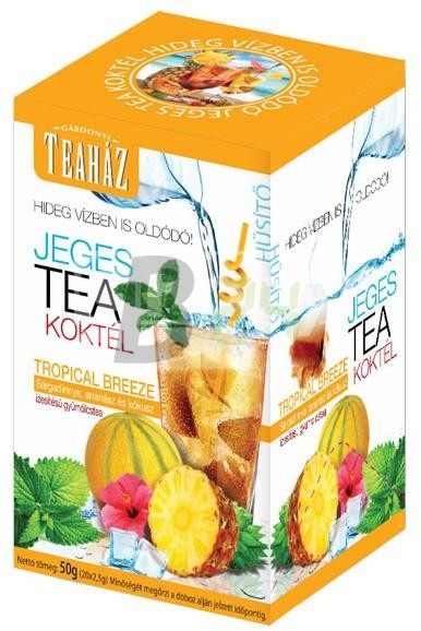 Teaház jeges tea koktél tropical (50 g) ML078864-38-4