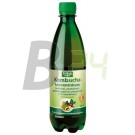 Zöldvér kombucha koncentrátum inulinnal (500 ml) ML051738-3-7